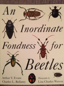 An Inordinate Fondness for Beetles